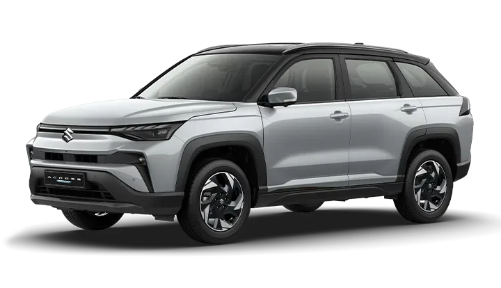 ACROSS HYBRID - Plata Metalico Perlado Techo Negro