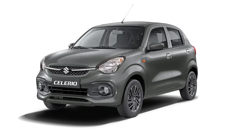 CELERIO - Gris Metalico